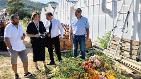 Dans le Var, des productions de fleurs coupées ont particulièrement souffert d’un violent épisode de grêle le 17 août dernier. Des agriculteurs sinistrés ont pu s’expliquer auprès de la présidente de la chambre d’agriculture, Fabienne Joly, du préfet, Evence Richard, et des représentants de toutes les filières agricoles varoises. ©Chambagri du Var